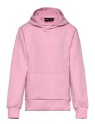 Arizona Sweat Hoodie Sport Sweat-shirts & Hoodies Hoodies Pink ZigZag