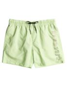 All Day Heritage Lb Uimashortsit Green Billabong