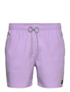 Daily Volley Uimashortsit Purple Rip Curl