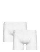 Premium Cotton Stretch Boxer 2P Bokserit White Björn Borg