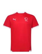 Teamliga Jersey Sport T-shirts Short-sleeved Red PUMA