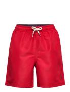 Traveler Swim Trunk Uimashortsit Red Ralph Lauren Kids