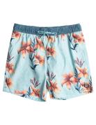 Vacay Lb Uimashortsit Blue Billabong