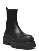 Cassandra Bootie Shoes Chelsea Boots Black Steve Madden