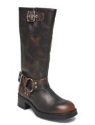 Beau Boot Shoes Boots Ankle Boots Ankle Boots Flat Heel Brown Steve Ma...