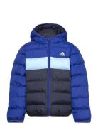 J Sd Jkt Toppatakki Blue Adidas Sportswear