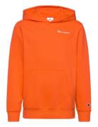 Hooded Sweatshirt Tops Sweat-shirts & Hoodies Hoodies Orange Champion