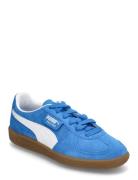 Palermo Jr Sport Sneakers Low-top Sneakers Blue PUMA