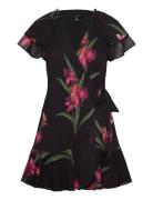 Fasnia Lyhyt Mekko Black Ted Baker London