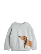 Dog Sp Sweatshirt Tops Sweat-shirts & Hoodies Sweat-shirts Grey Mini R...