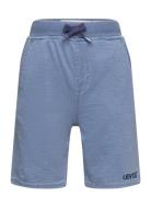 Lvb Headline Indigo Short / Lvb Headline Indigo Short Bottoms Shorts B...