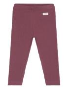 Leggings Rib Bottoms Leggings Burgundy Fixoni