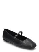 Ezri Ballerinas Ballerinat Black Steve Madden