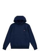 Levi's® Mini Batwing Pullover Hoodie Tops Sweat-shirts & Hoodies Hoodi...