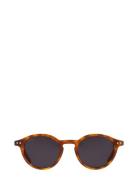 Lia Havana Black Aurinkolasit Black Corlin Eyewear