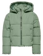 Kmgdolly Life Short Puf Jacket Otw Noos Toppatakki Green Kids Only