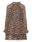 Leopard-Print Flared Dress Lyhyt Mekko Brown Mango