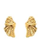 Feather Earring Korvakoru Korut Gold By Jolima