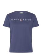 Reg Printed Graphic T-Shirt Tops T-shirts & Tops Short-sleeved Blue GA...