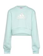 Jg Glm Crew Tops Sweat-shirts & Hoodies Sweat-shirts Blue Adidas Sport...