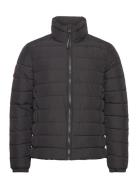 Fuji Emb Padded Jacket Vuorillinen Takki Topattu Takki Black Superdry