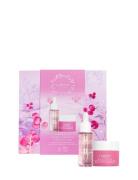 Lumene Nordic Bloom Berry Smooth Firming Set Ihonhoitosetti Nude LUMEN...