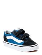 Uy Sk8-Hi Sport Sneakers Low-top Sneakers Blue VANS