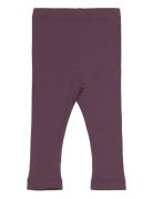 Leggings Rib Bottoms Leggings Purple Minymo