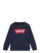 Ls-L/S Tee Tops T-shirts Long-sleeved T-shirts Blue Levi's