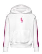 Striped Big Pony French Terry Hoodie Tops Sweat-shirts & Hoodies Hoodi...