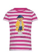 Striped Polo Bear Cotton Jersey Tee Tops T-shirts Short-sleeved Pink R...