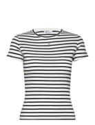 Tjw Slim Essential Rib Ss Tops T-shirts & Tops Short-sleeved Navy Tomm...
