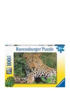 Exotic Animals Selfie 100P Toys Puzzles And Games Puzzles Classic Puzz...