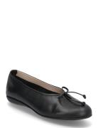 Bo 72 Ballerinat Black Wonders