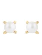 Lucy Pearl Ear G/White Accessories Jewellery Earrings Studs Gold SNÖ O...
