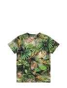 Ralphie Tops T-shirts Short-sleeved Green Molo
