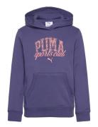 Puma Class Hoodie Tr G Sport Sweat-shirts & Hoodies Hoodies Blue PUMA