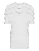 Bci Cotton-3Pk-Ucr Tops T-shirts Short-sleeved White Polo Ralph Lauren