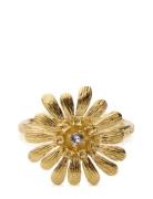 Daisy Ring Gold Sormus Korut Gold Caroline Svedbom