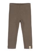 Legging Modal Bottoms Leggings Brown Petit Piao