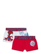 Boxer Alusvaatteet Red Spider-man