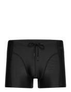 Borg Swim Trunks Uimashortsit Black Björn Borg