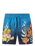 Nmmmabbe Paw Long Swimshorts Cplg Uimashortsit Blue Name It