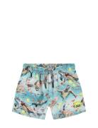 Niko Uimashortsit Blue Molo
