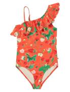 Net Uimapuku Uima-asut Red Molo