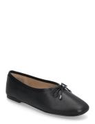 Joselie Ballerinat Black ALDO