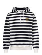 Starboard Hooded Sweatshirt Tops Sweat-shirts & Hoodies Hoodies Multi/...