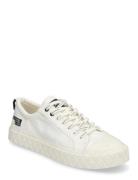 Palla Ace Lo Surplus Matalavartiset Sneakerit Tennarit White Palladium
