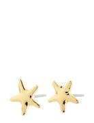 André Earrings Accessories Jewellery Earrings Studs Gold Pilgrim