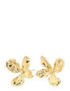 Dream Earrings Accessories Jewellery Earrings Studs Gold Pilgrim